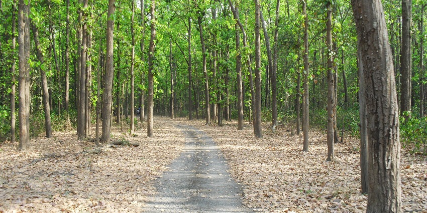 Wildlife sanctuary home to elephants, tigers, and rich biodiversity.
