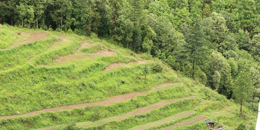 A picture of Ranikhet with lush green landscapes and a Himalayan backdrop.