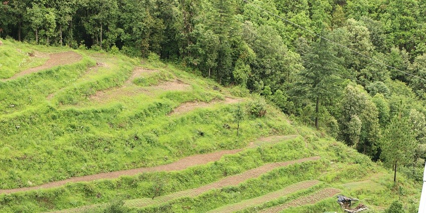 An image of a landscape of Ranikhet hills, among the best places to visit near Moradabad.
