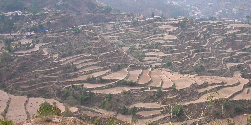 An image of fields in Ranikhet, a famous place located near Kainchi Dham in Uttarakhand.