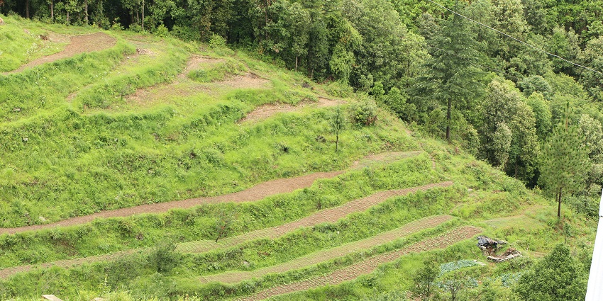 View of Ranikhet, a hill station in Roorkee, surrounded by lush green forests
