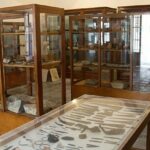 View inside the Ratnagiri Marine Fish Museum, ideal spot for all curious travellers