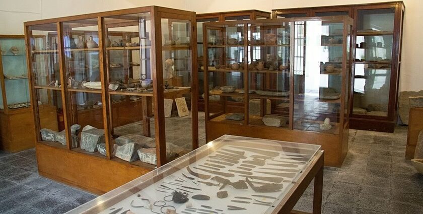 View inside the Ratnagiri Marine Fish Museum, ideal spot for all curious travellers