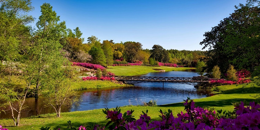 A glimpse of a famous park in Maharashtra featuring lush greenery and flowers.
