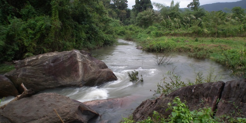 Scenic view of the Pollachi Uppar Riverside surrounded by greenery