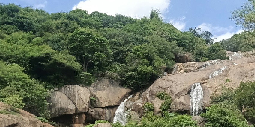 Visiting Yelagiri is one of the best things to do in Tamil Nadu for every traveller.