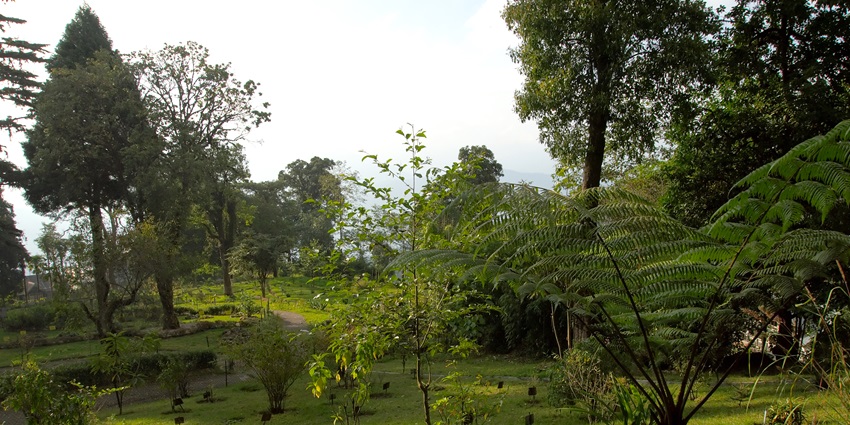 The scenic Reliance Jio Park is one of the most scenic places to visit in Gorakhpur