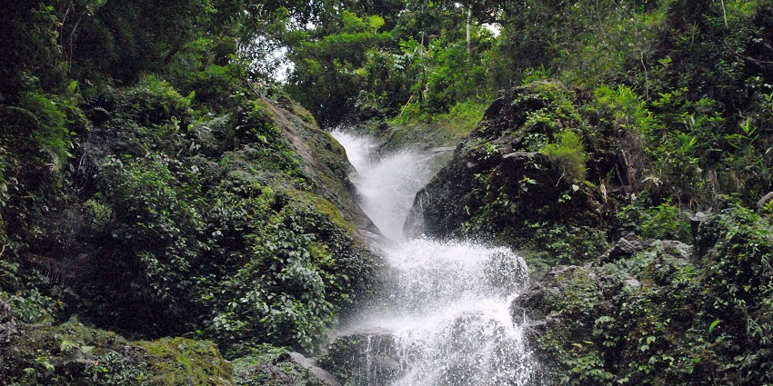 A glimpse of Rimbik Waterfalls is a hidden treasure among offbeat places in North Bengal.