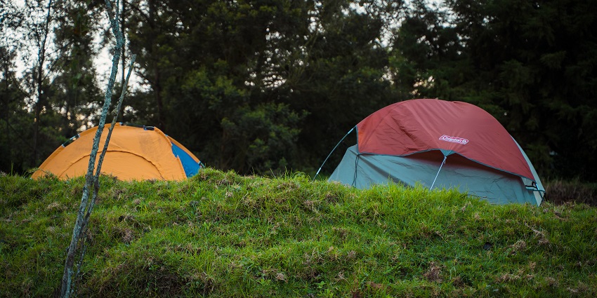 Rishikesh Jungle Camp features adventure activities and beautiful forest surroundings.