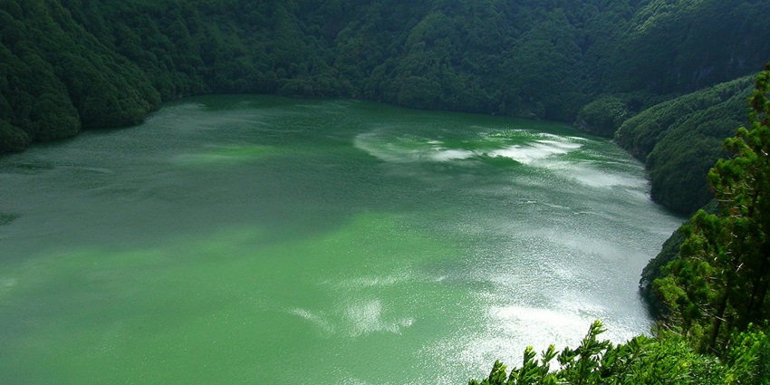 An image showing a top view of a lake surrounded by lush green trees in Rishikund.