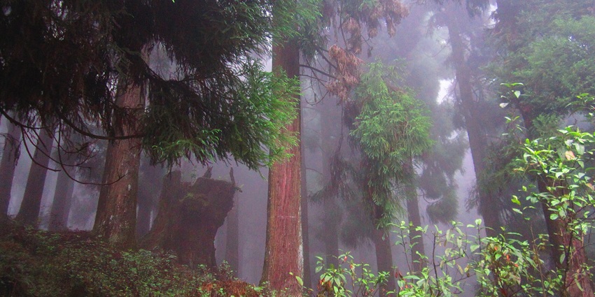 Rishop offers breathtaking views and serene experiences among places to visit in Lava.