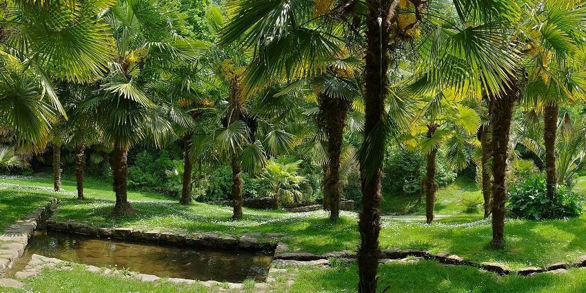 Beautiful Roche Park near Mutharamman Temple.