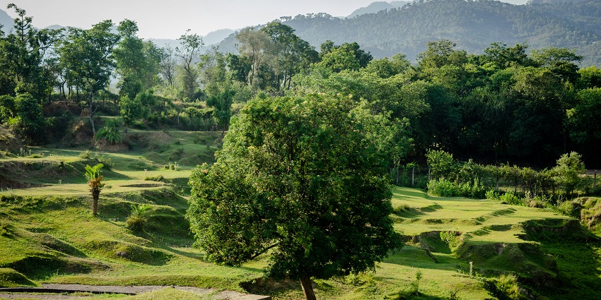 Majestic view of SERSA BNR eco park - one of the places to visit near Kharagpur.