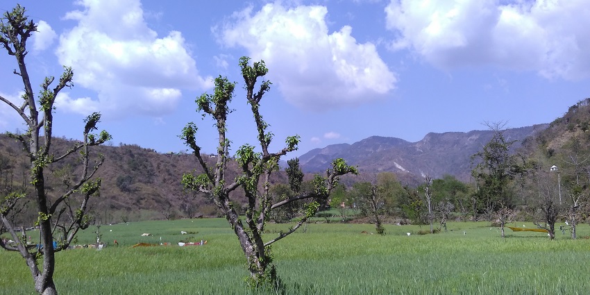 Beautiful view of Sahastradhara, near fun park Dehradun