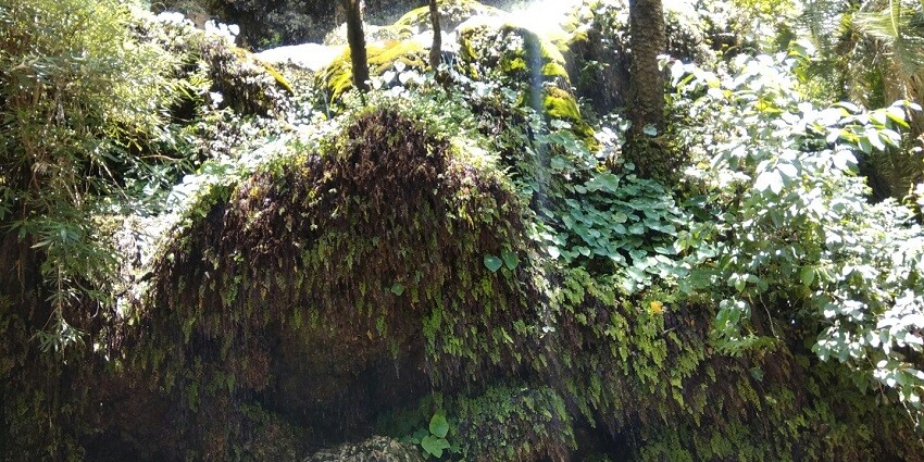 An image showing a stunning location featuring 100 waterfalls cascading down the cliffs.