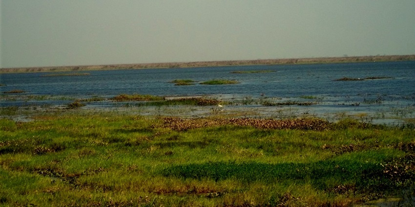 A peaceful lake, set against the forested backdrop of Sohagi Barwa Wildlife Sanctuary.
