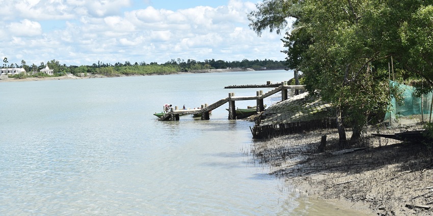 Explore Sajnekhali Wildlife Sanctuary, one of the things to do in Sundarban, India.