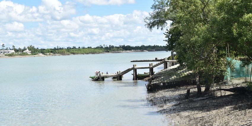 Beautiful view of wildlife sanctuary, a place to visit in Sundarbans