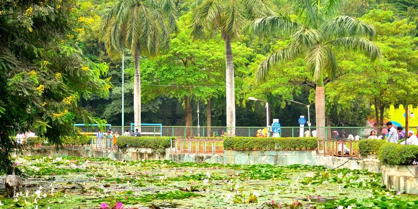 Enjoy a peaceful stroll through the gardens and feed the fish in the ponds at Saras Baug.