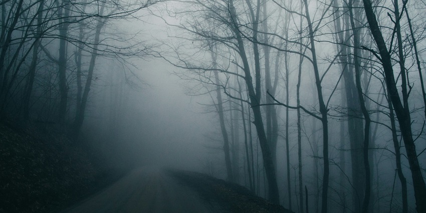 Road in Sathyamangalam Wildlife Sanctuary, one of the ancient haunted places in Tamil nadu
