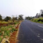 A panoramic view of Sathyamangalam Tiger Reserve, showcasing greenery and forested hills.