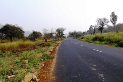 A panoramic view of Sathyamangalam Tiger Reserve, showcasing greenery and forested hills.