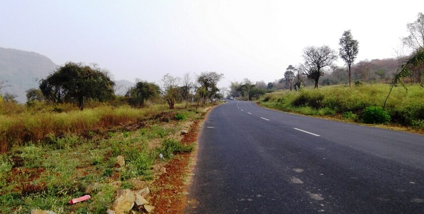 A panoramic view of Sathyamangalam Tiger Reserve, showcasing greenery and forested hills.