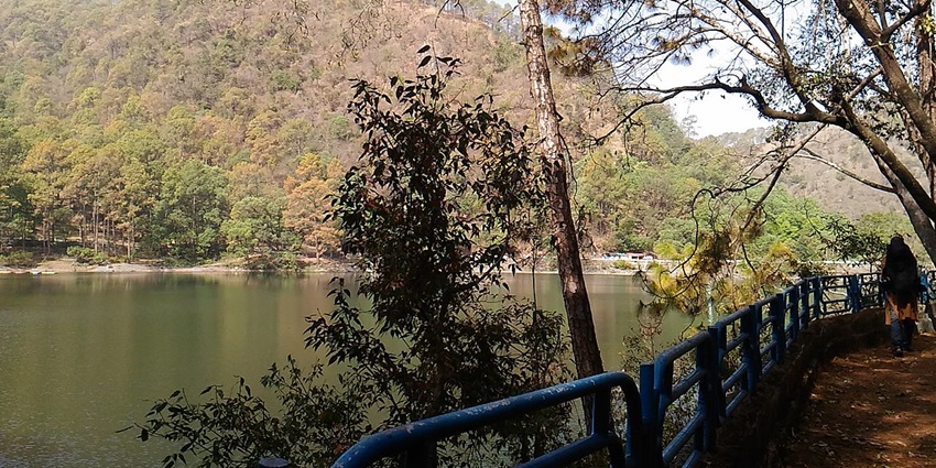 Group of interconnected freshwater lakes surrounded by lush forests.