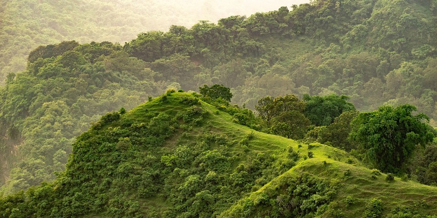A picture of Kolli hills under a cloudy sky, near haunted places in Tamil Nadu.