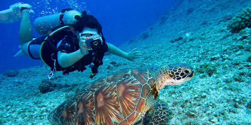 An image of a diver exploring colourful coral reefs, among the best Juhu Beach water sports.