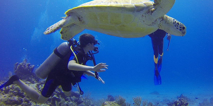A picture of a diver exploring marine life–one of the best Nagaon Beach water sports.