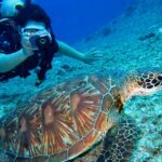 A beautiful view of scuba diving, which has colourful coral reefs and abundant marine life