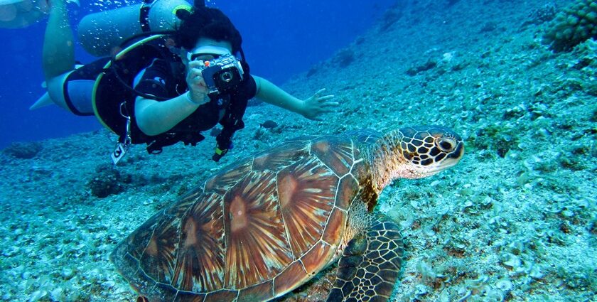 A beautiful view of scuba diving, which has colourful coral reefs and abundant marine life