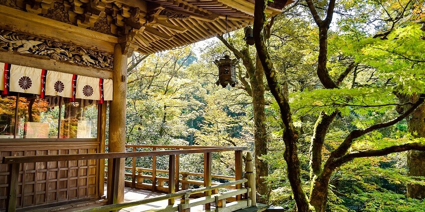 Shedup Choepelling Temple offers spiritual teachings and a serene ambience for reflection.