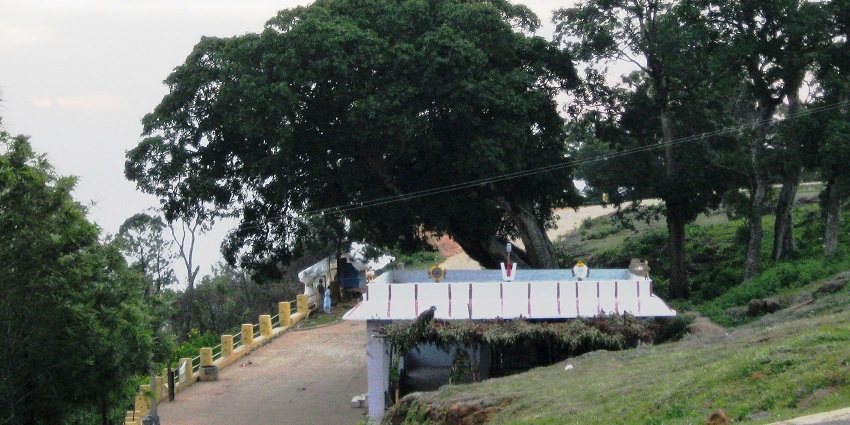 Image of the road to Shevaroy Temple, a top highlight among tourist places in Yercaud.