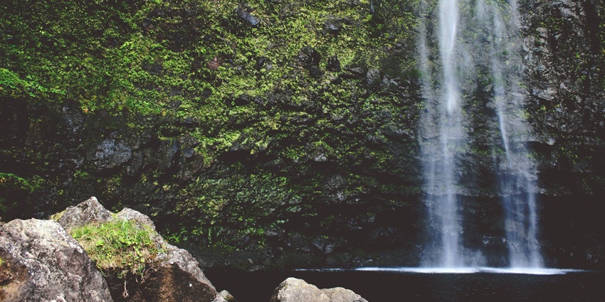 A serene waterfall surrounded by dense forest - one of the places to visit near Dehradun within 100 km.