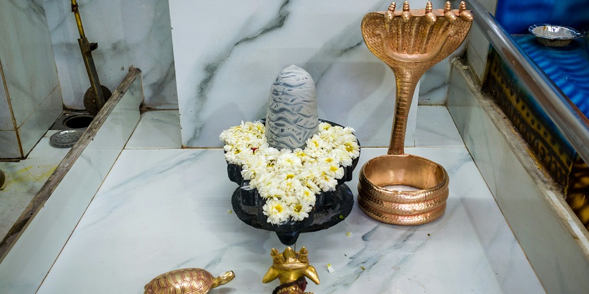 The Shiv Lingam is adorned with fresh white flowers on the occasion of Mahashivratri.