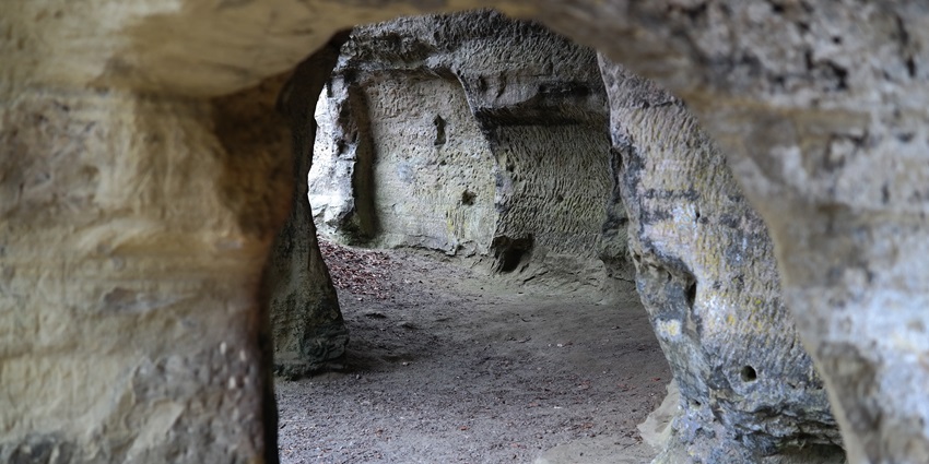 An image of the ancient Siddhar Caves hidden in rocky cliffs surrounded by forest.