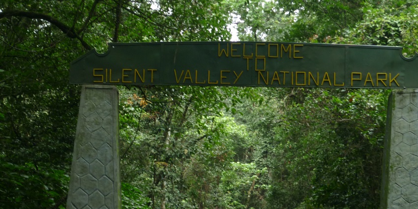 Image showing the Silent Valley National Park entrance gate with dense forest all around.