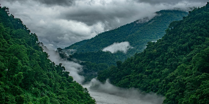 Siliguri serves as a gateway and vibrant place to visit in North Bengal
