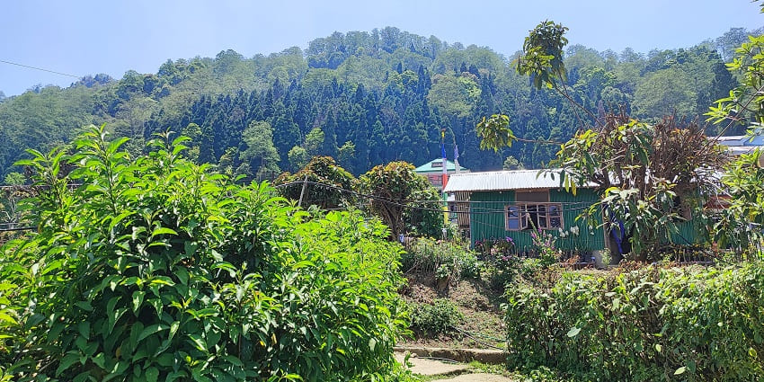 Sillery Gaon offers tranquillity among the offbeat places near Kalimpong.