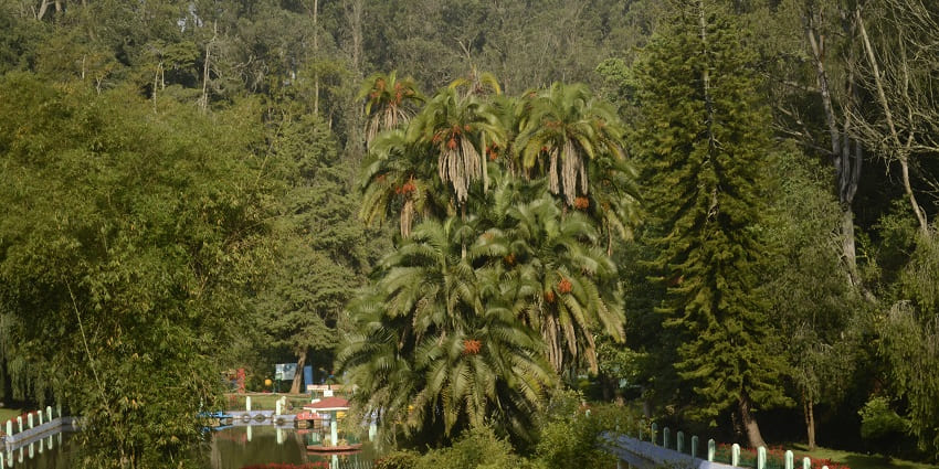 An Image shows beautiful Sim’s Park , perfect place for you to stroll around