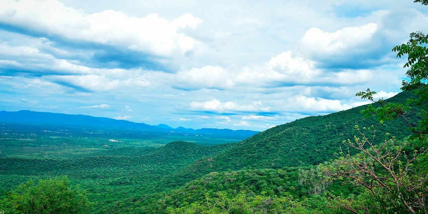 Sirumalai is one of the most amazing hill stations near Pondicherry for travellers.