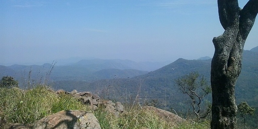 Amazing view of nature from the top of Sirumalai Hills, a perfect spot for nature lovers.