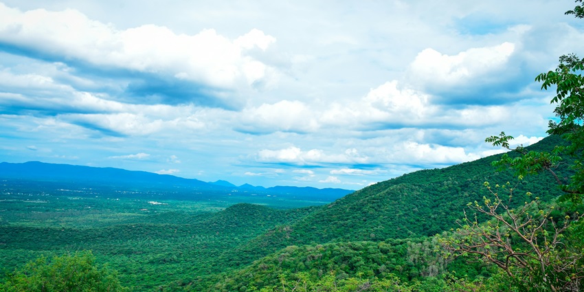 An image of Sirumalai, one of the most famous tourist attractions located near Trichy.