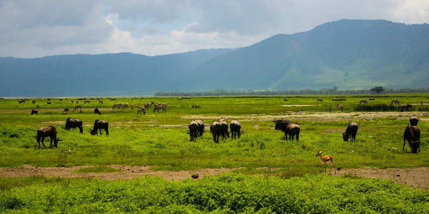 Sitabani Wildlife Reserve is a tranquil reserve known for rich biodiversity and wildlife spotting.