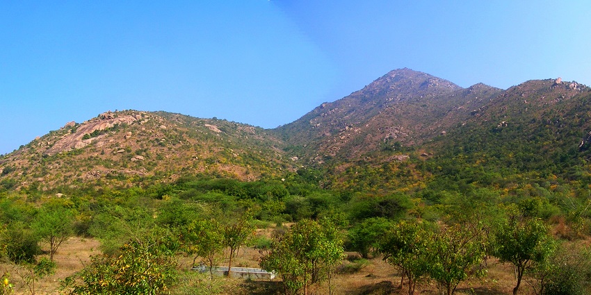 A wide view of Thiruvannamalai, showcasing the town and surrounding hills.