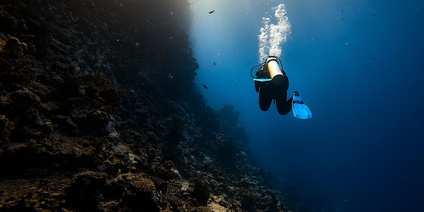An image view of a snorkeler exploring the vibrant marine life at Juhu Beach.