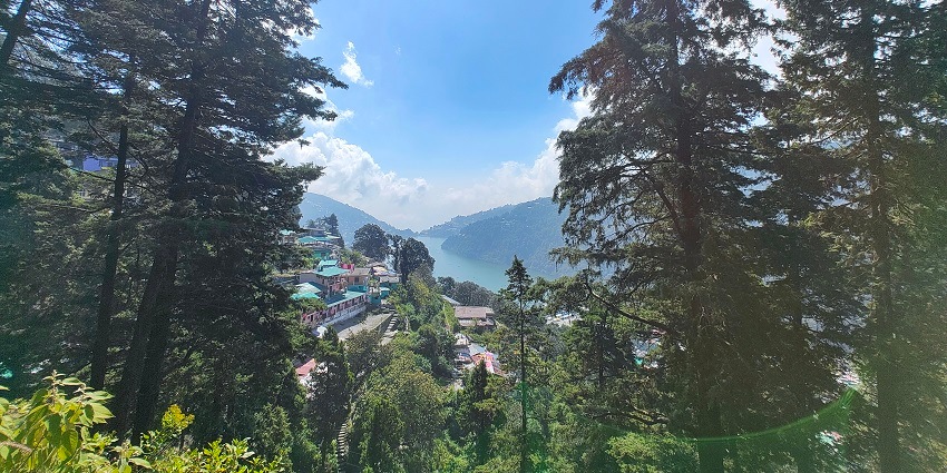 An image of the tall trees in the forests at the snow view point near Nainital Zoo.