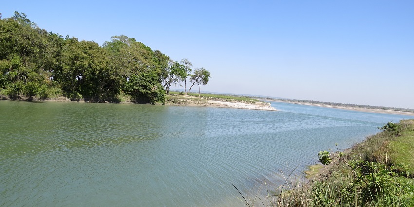 An image of the rich green forests in Sohagibarwa Wildlife Sanctuary near Lucknow.